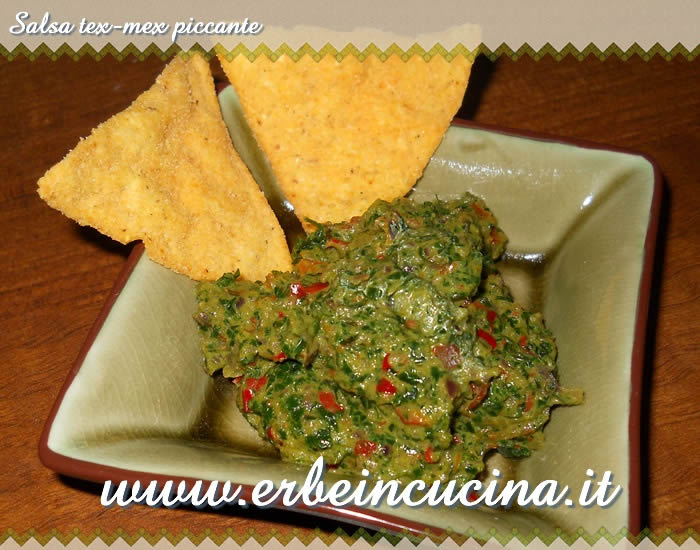 Salsa tex-mex piccante