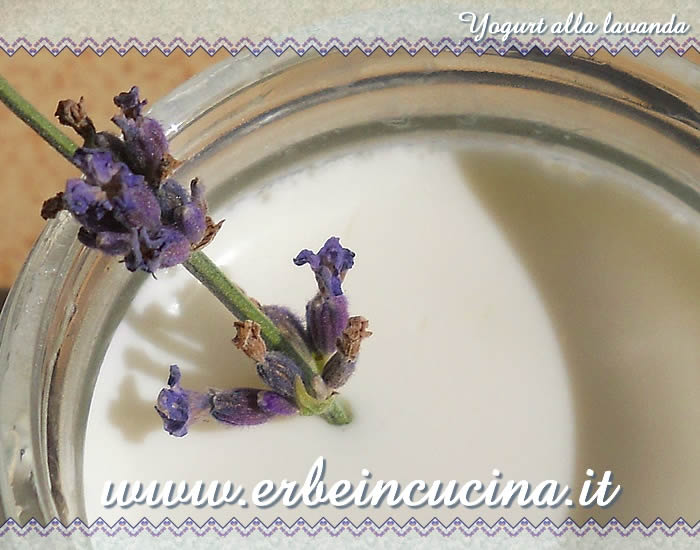 Yogurt alla lavanda