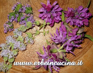 Fiori aromatici