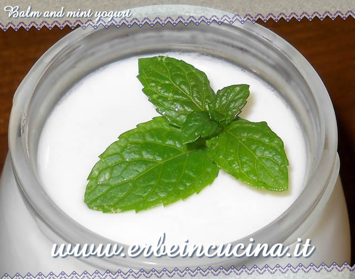 Balm and mint yogurt