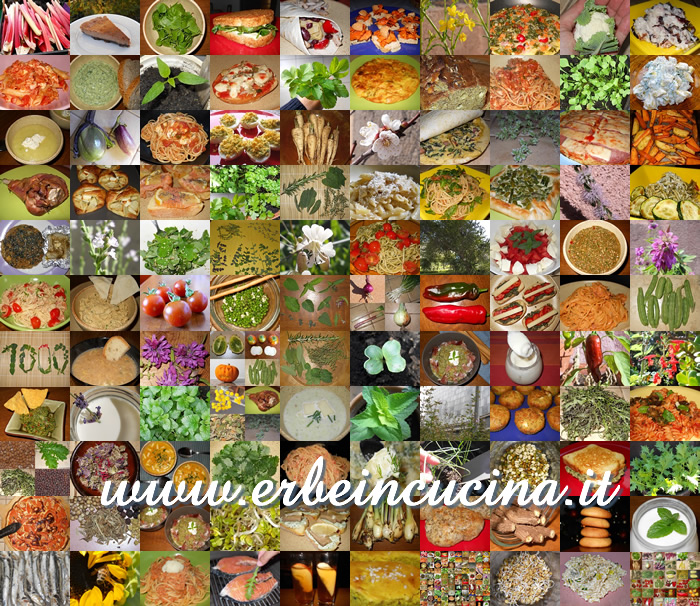 Erbe in Cucina nel 2013