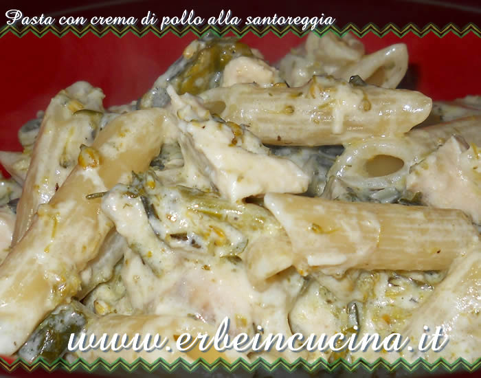 Pasta con crema di pollo alla santoreggia