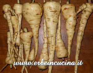 Parsnips