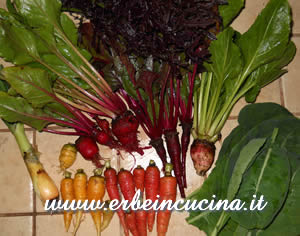 Harvest