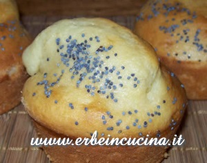 Muffin al limone e semi di papavero