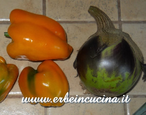 Peperoni e melanzane
