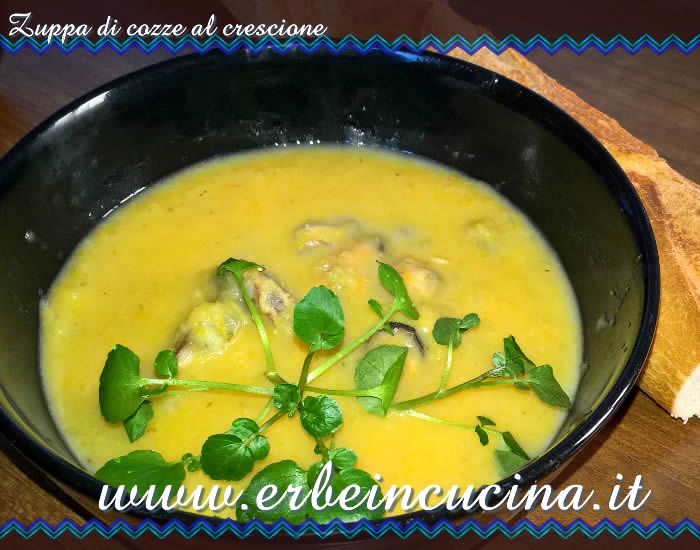 Zuppa di cozze al crescione