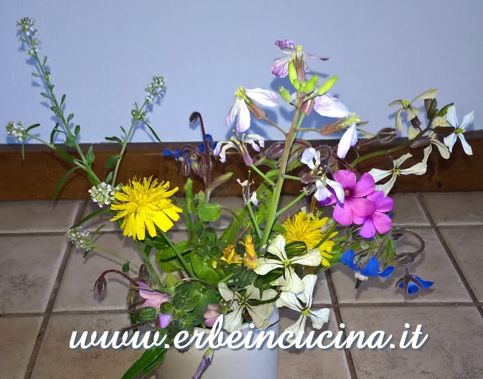 Fiori di erbe aromatiche