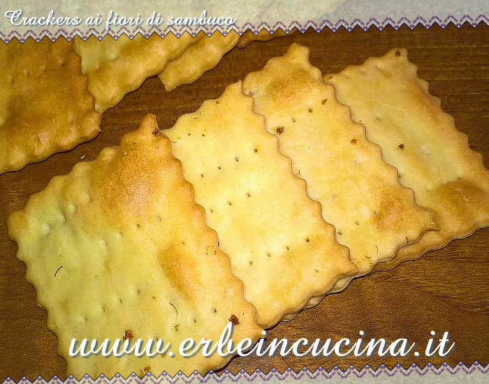 Crackers ai fiori di sambuco