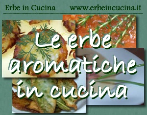 Le erbe aromatiche in cucina