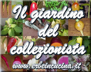 Il giardino del collezionista