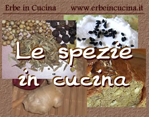 Spezie aromatiche in cucina