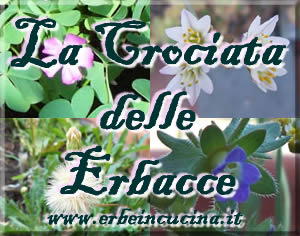 La crociata delle erbacce