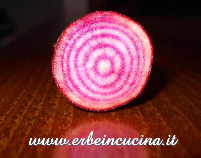 Barbabietola Chioggia / Chioggia beetroot