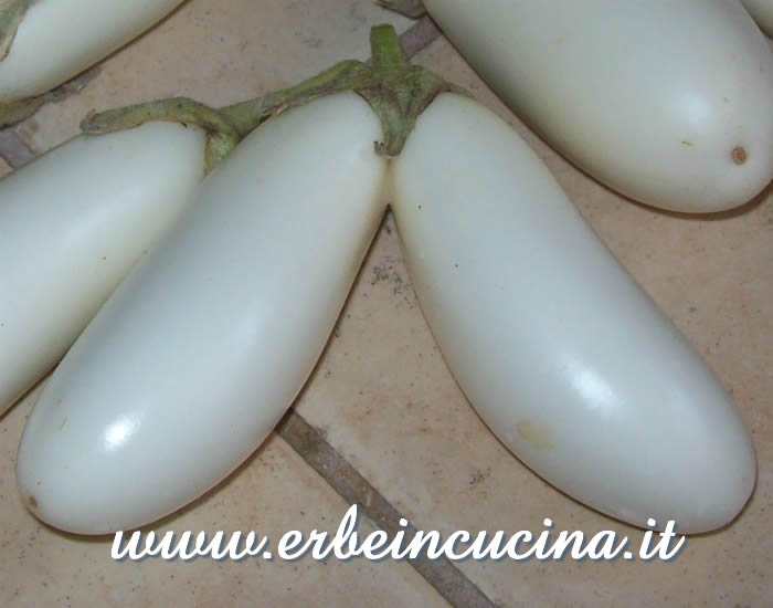Melanzane bianche lunghe gemelle / Twins White Long Eggplants