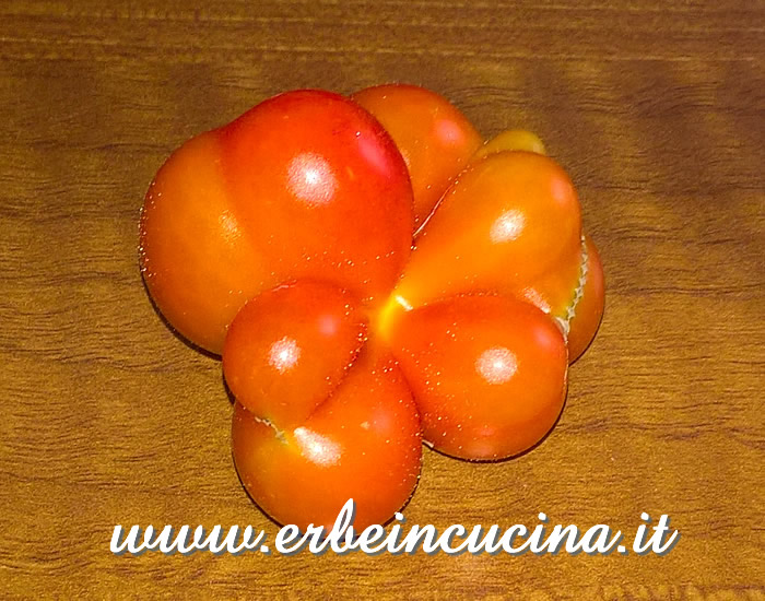 Pomodori Reisetomate maturo / Ripe Reisetomate