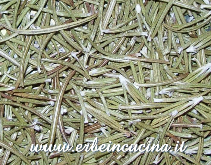 Foglie di rosmarino essiccate / Dried Rosemary Leaves