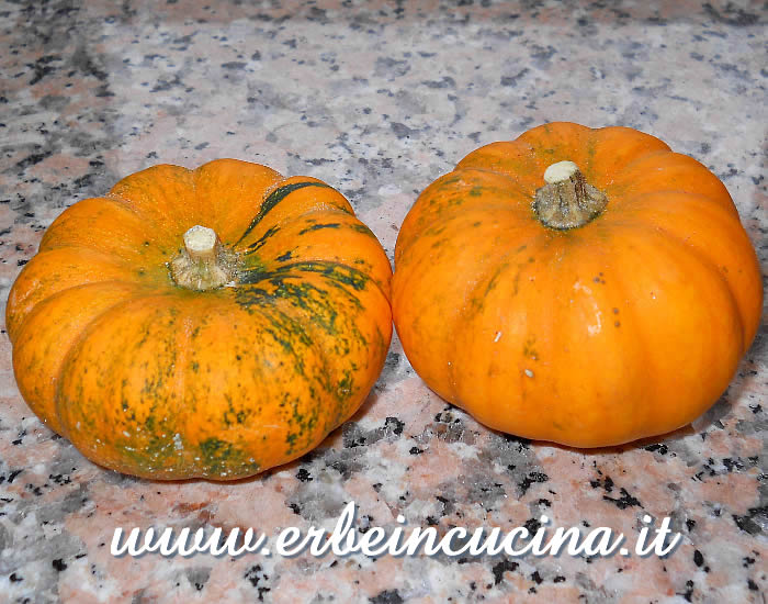 Zucche in miniatura Jack Be Little  / Jack Be Little Miniature Pumpkins